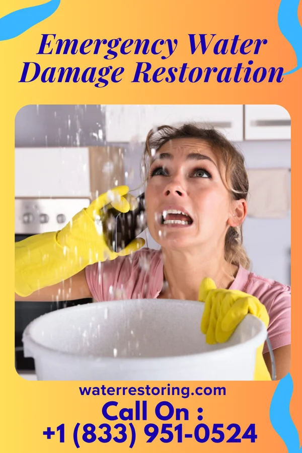 Emergency Water Damage Restoration in Mayville, NY
