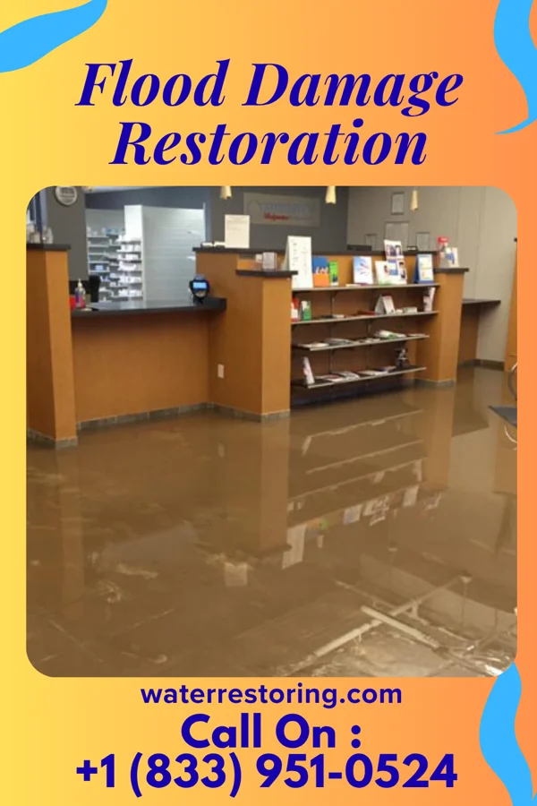 Flood Damage Restoration in Mayville, NY
