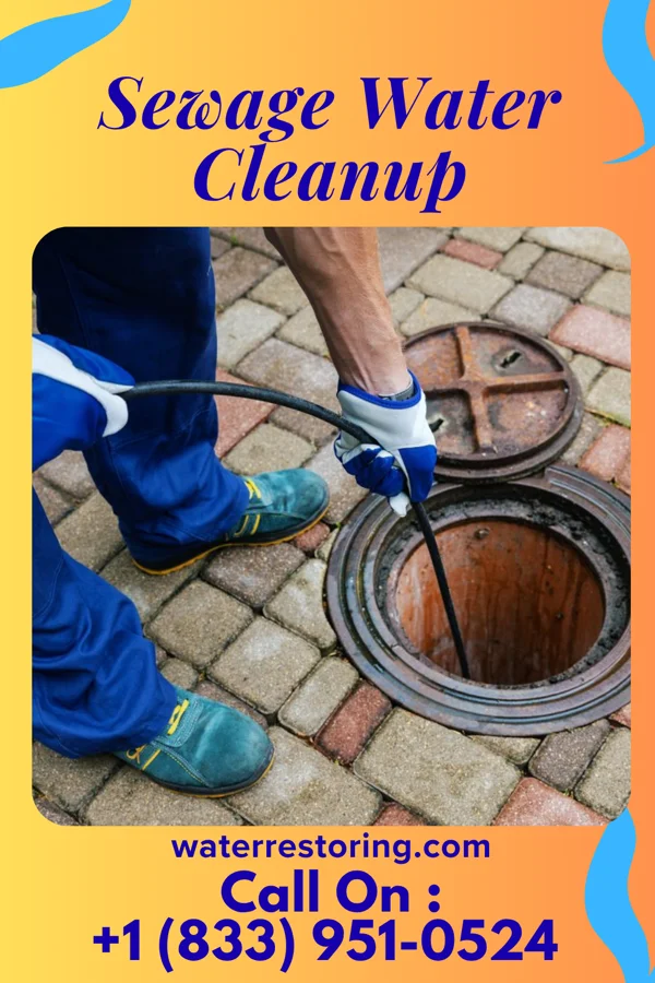 Sewage Water Cleanup in Mayville, NY